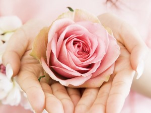 Wedding-Flowers-a-Pink-Flower-in-the-Hand-Romantic-Scene